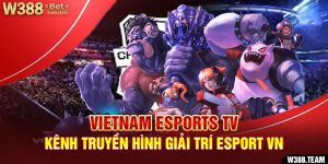 Vietnam Esports TV - Kênh truyền hình giải trí Esport VN
